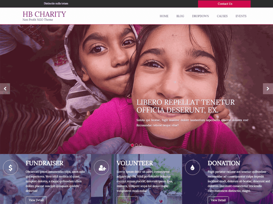 HB Charity Template