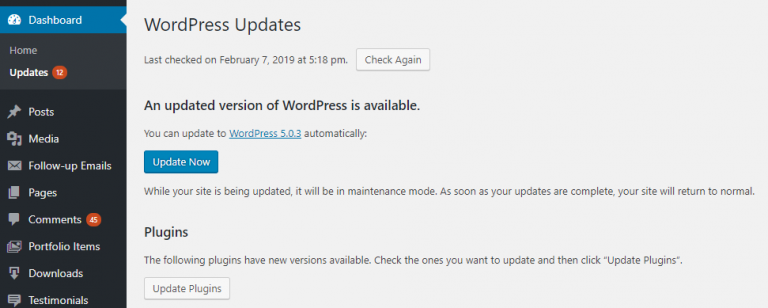 How to Update WordPress to the Latest Version | Themely